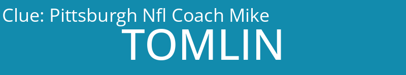 Pittsburgh Nfl Coach Mike