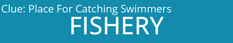 Place For Catching Swimmers