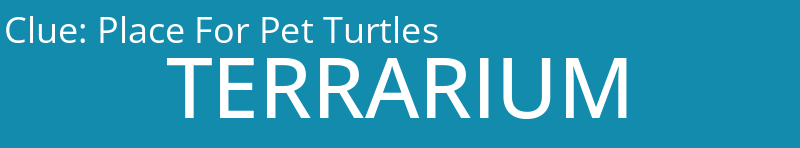 Place For Pet Turtles