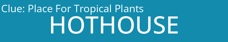 Place For Tropical Plants