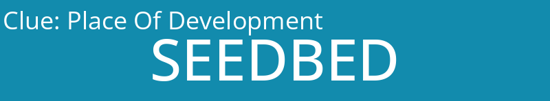 Place Of Development