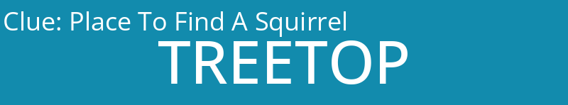 Place To Find A Squirrel