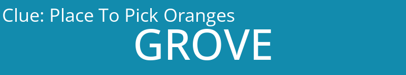Place To Pick Oranges