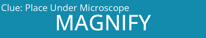 Place Under Microscope