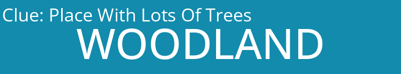 Place With Lots Of Trees
