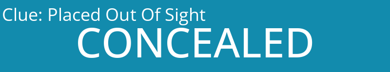 Placed Out Of Sight