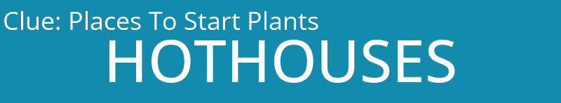 Places To Start Plants