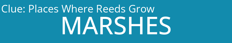 Places Where Reeds Grow