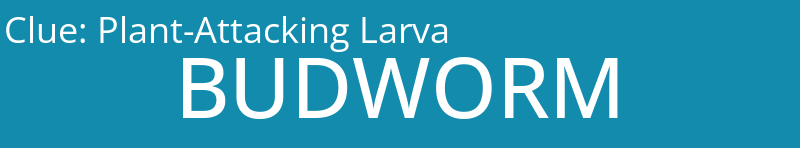 Plant-Attacking Larva