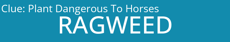 Plant Dangerous To Horses