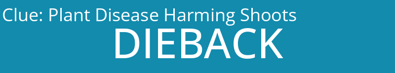 Plant Disease Harming Shoots