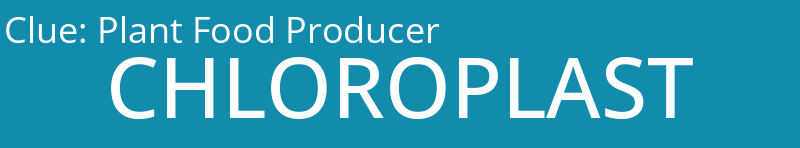 Plant Food Producer