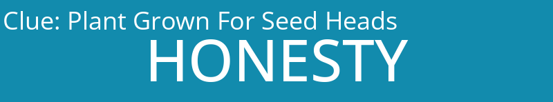 Plant Grown For Seed Heads