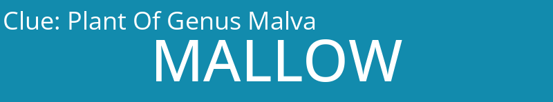Plant Of Genus Malva