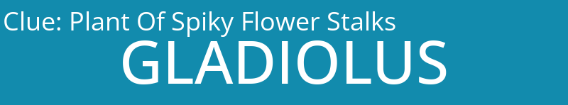 Plant Of Spiky Flower Stalks