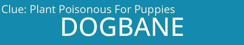 Plant Poisonous For Puppies