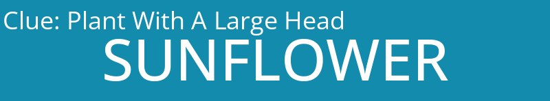 Plant With A Large Head