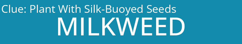 Plant With Silk-Buoyed Seeds