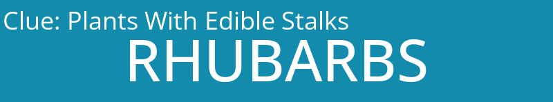 Plants With Edible Stalks