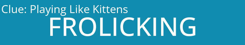 Playing Like Kittens