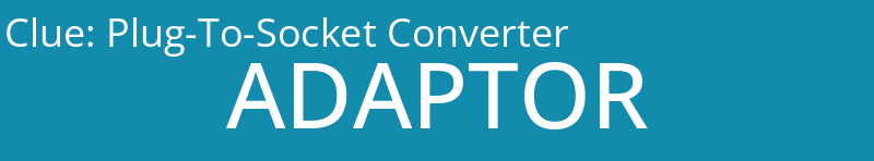 Plug-To-Socket Converter