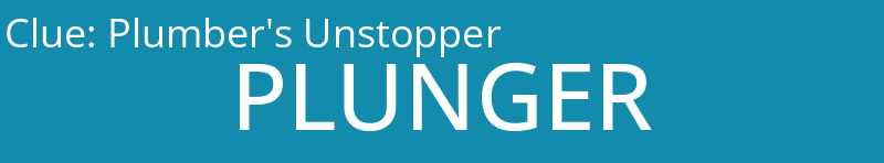 Plumber's Unstopper