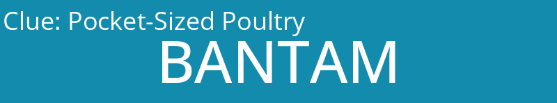 Pocket-Sized Poultry