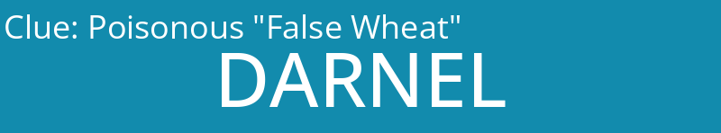 Poisonous "False Wheat"