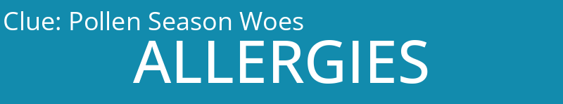 Pollen Season Woes