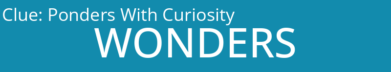 Ponders With Curiosity
