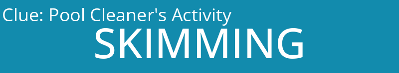 Pool Cleaner's Activity