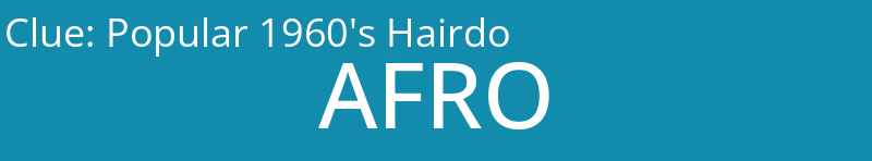 Popular 1960's Hairdo