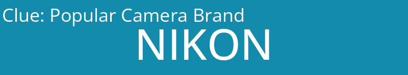 Popular Camera Brand