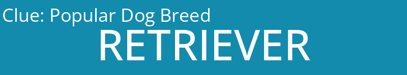 Popular Dog Breed