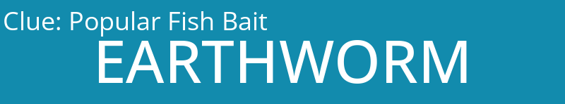 Popular Fish Bait