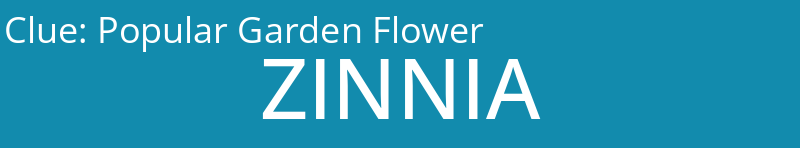 Popular Garden Flower