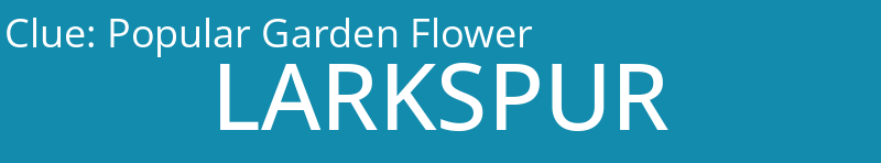 Popular Garden Flower