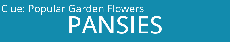Popular Garden Flowers