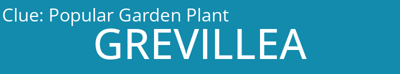 Popular Garden Plant