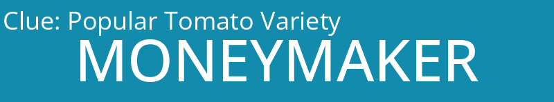 Popular Tomato Variety