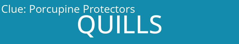 Porcupine Protectors
