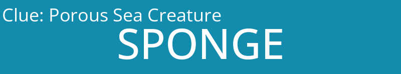 Porous Sea Creature