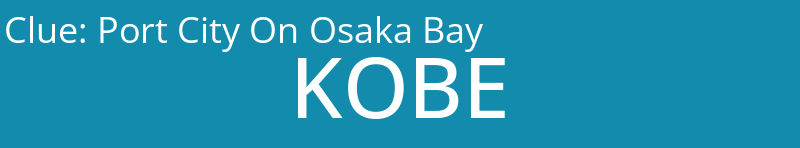 Port City On Osaka Bay