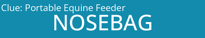 Portable Equine Feeder