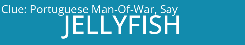 Portuguese Man-Of-War, Say