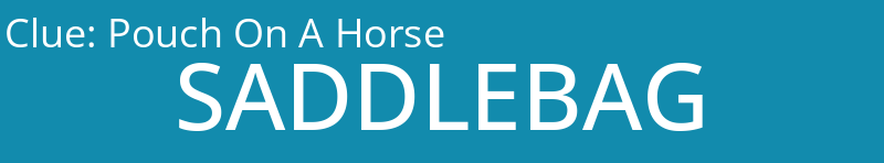 Pouch On A Horse