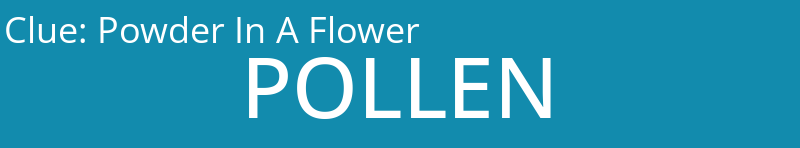 Powder In A Flower
