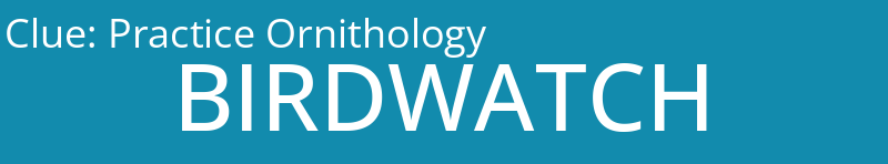 Practice Ornithology