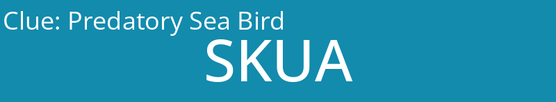 Predatory Sea Bird