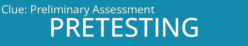 Preliminary Assessment 